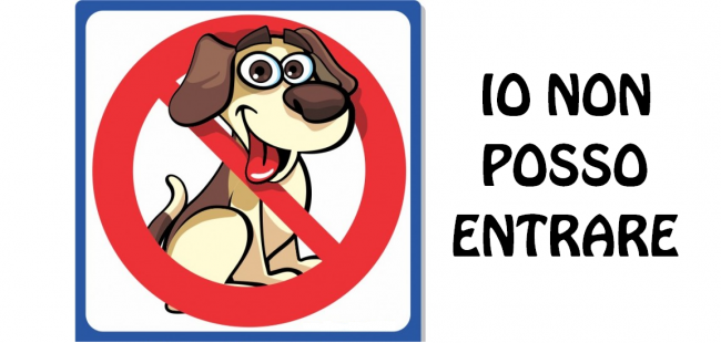 Per ragioni di pulizia dei locali (tappeti e divani ecc) si accettano solo cani di piccola taglia portati in braccio.